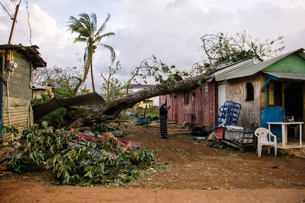 A woman looks at the damage to her home in St. Elizabeth, Jamaica, after a tree fell on it.